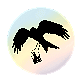 Precision Wedding Photography & Videography Company Logo. The oval-shaped design contains the silhouette of a flying Red Kite bird of prey holding a large camera in its talons on a multicoloured background.